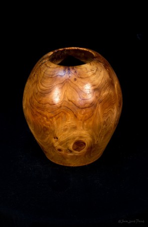 loupe de cyprès H 145 x 130 mm 130 euros